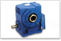 Elecon Hollow Output Shaft